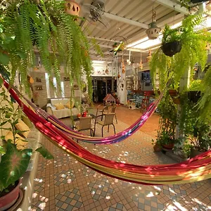 Homestay Casa Linda 